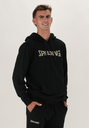 40232014-BKBE_Hoodie men Sportsstyle Black-Beige_Main.webp